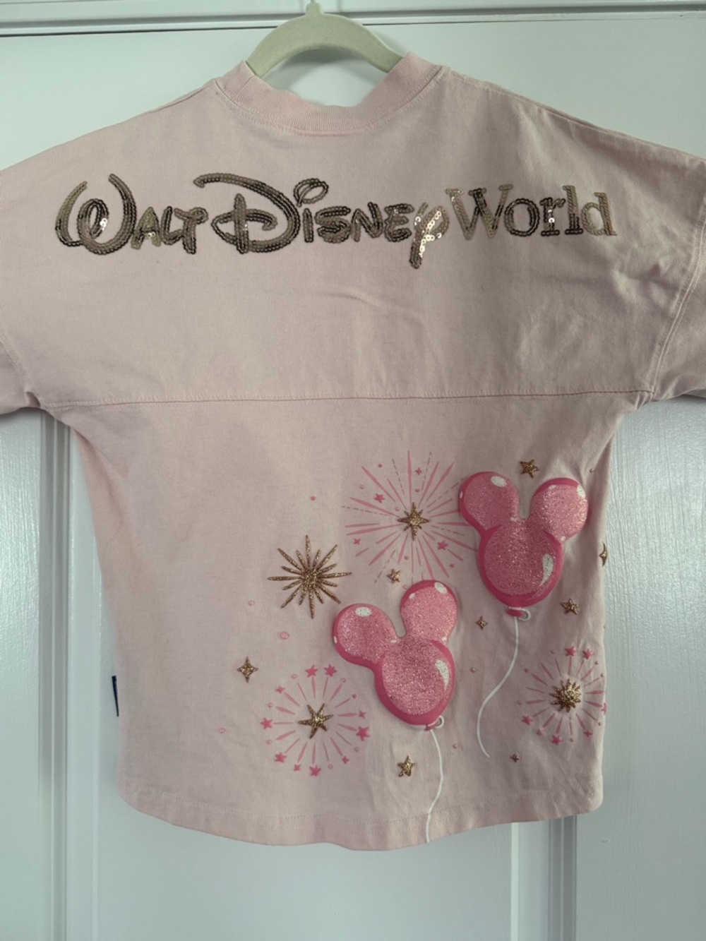 Disney Spirit Jersey